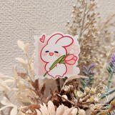 Luna Rabbit Tulips